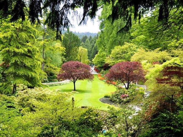 Сады Бутчартов Канада