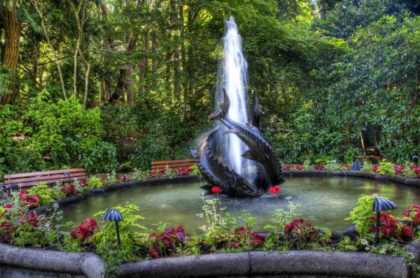 Сады Бутчартов Канада