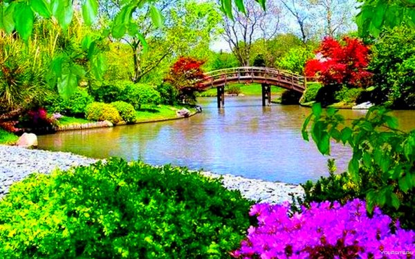 Парк Эмирган в Стамбуле