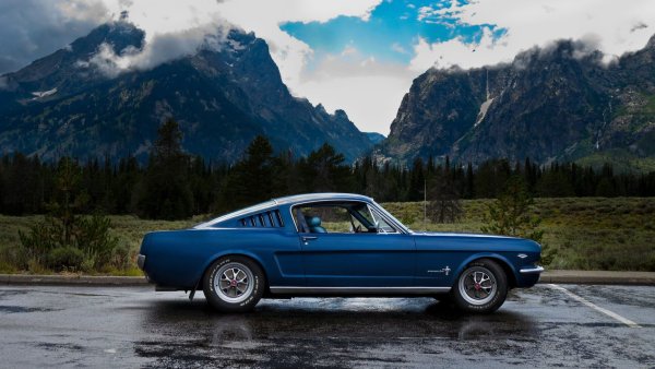 Shelby gt500 1966