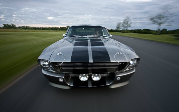 Ford Mustang Shelby gt500 Eleanor