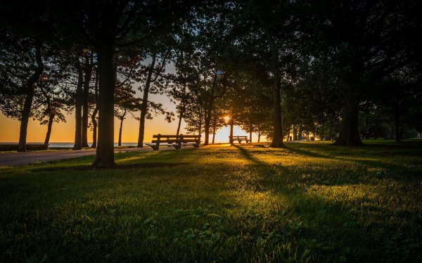 Закат в парке