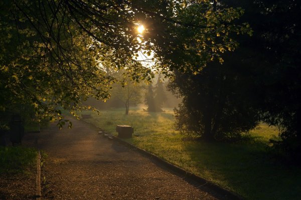 Летний вечер в городе
