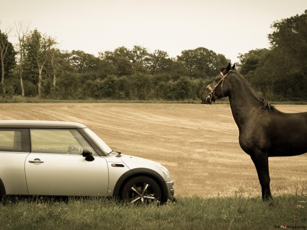 Машина с лошадью