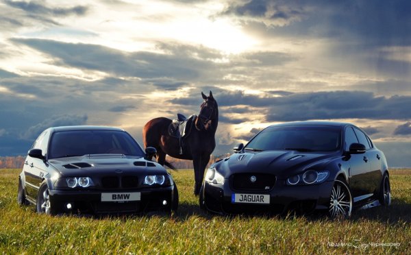 BMW лошадь