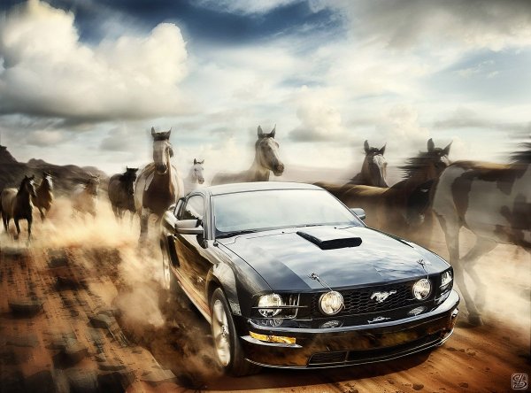 Форд Мустанг и лошадь Мустанг