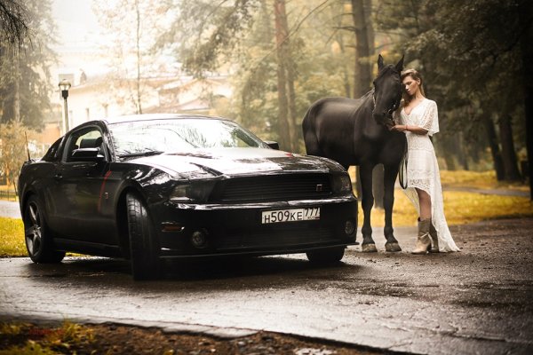 Форд Мустанг и лошадь Мустанг