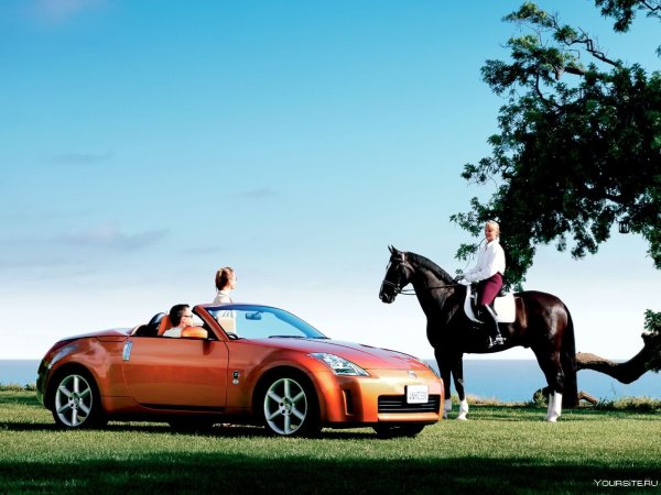Кабриолет с лошадью