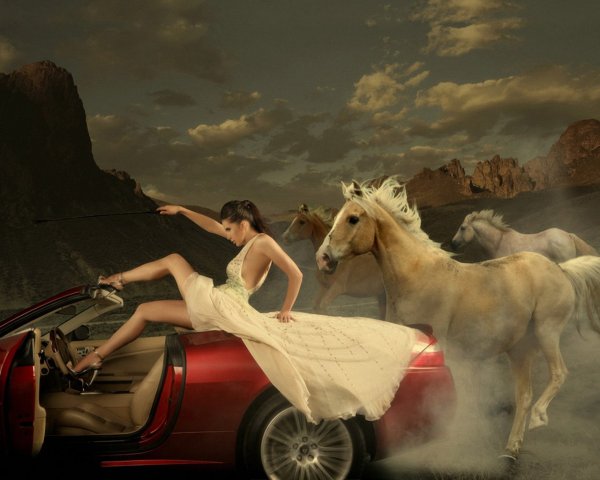 Реклама с лошадью