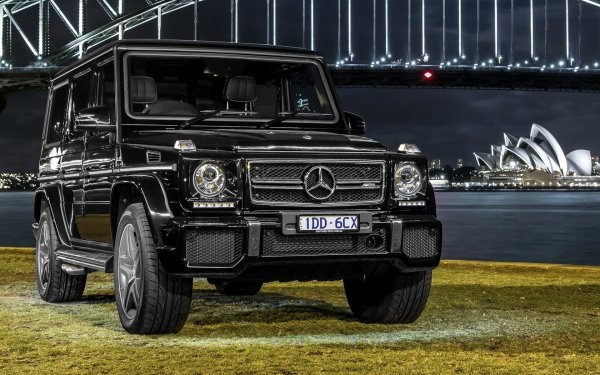 Mercedes-Benz g-class 463