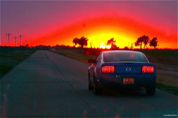 Мустанг в Нью-Йорке