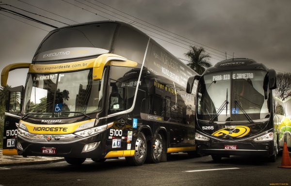 Красивые красивые автобусы