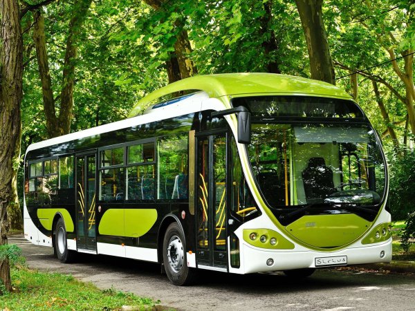 Абобус АМОГУС