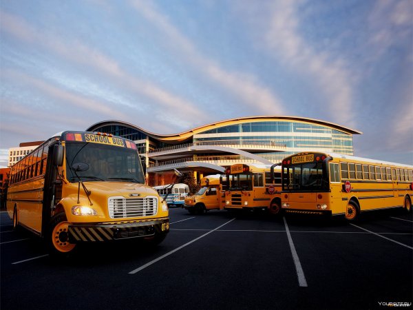 Машины автобусы