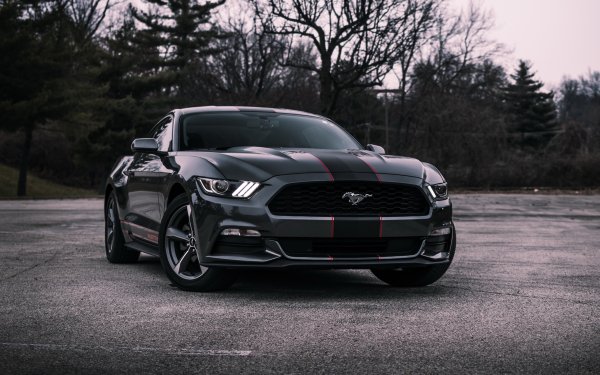 Форд Мустанг 4