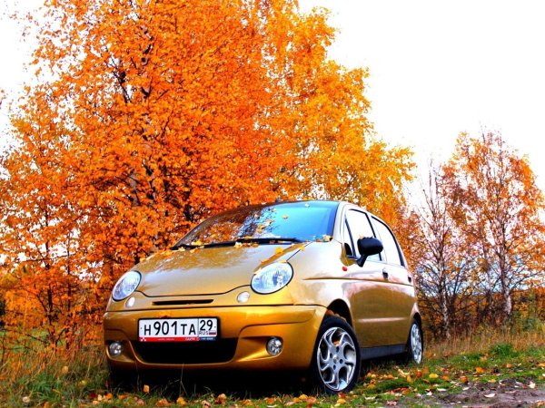 Матиз тепловая