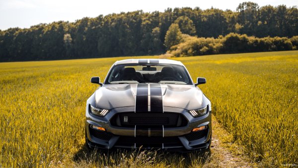 Ford Mustang Shelby 4k