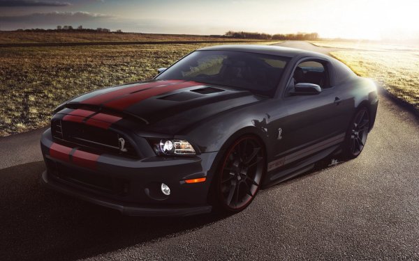 Mustang Shelby gt500