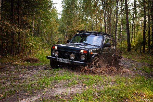 Нива 2121 в лесу