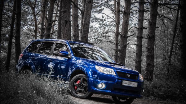 Subaru Forester sh