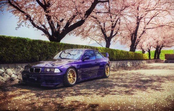 BMW e36 Purple