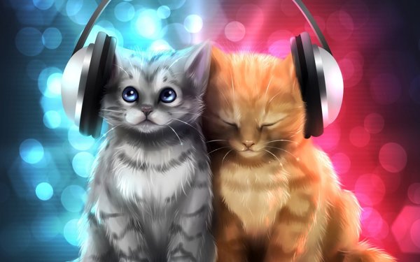 Крутые котята