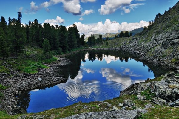 Красноярский край заповедник Шушенский