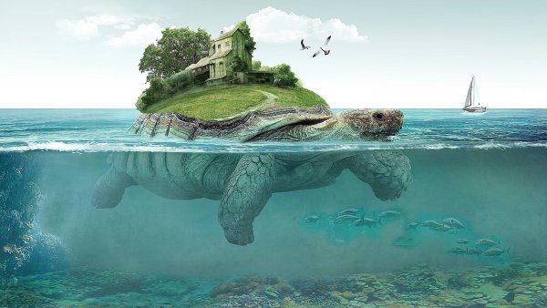 Древняя черепаха Архелон