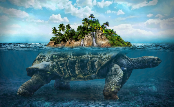 Черепаха остров арт