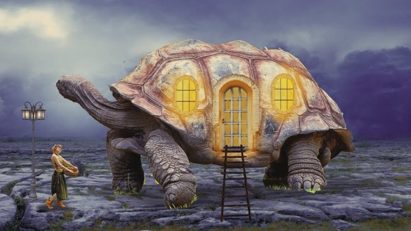 Город на черепахе