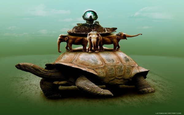 Древняя черепаха Матурин