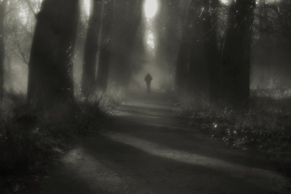 Тень над миром