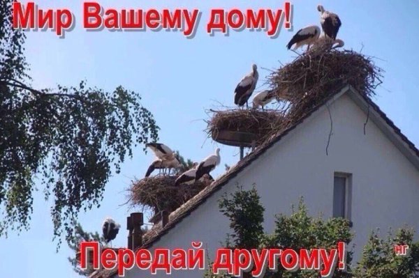Мир вашему дому