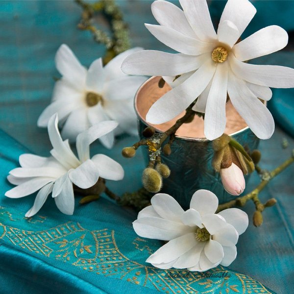 Мир вашему дому