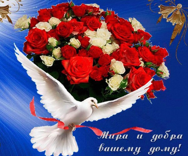 Пожелания счастья и добра