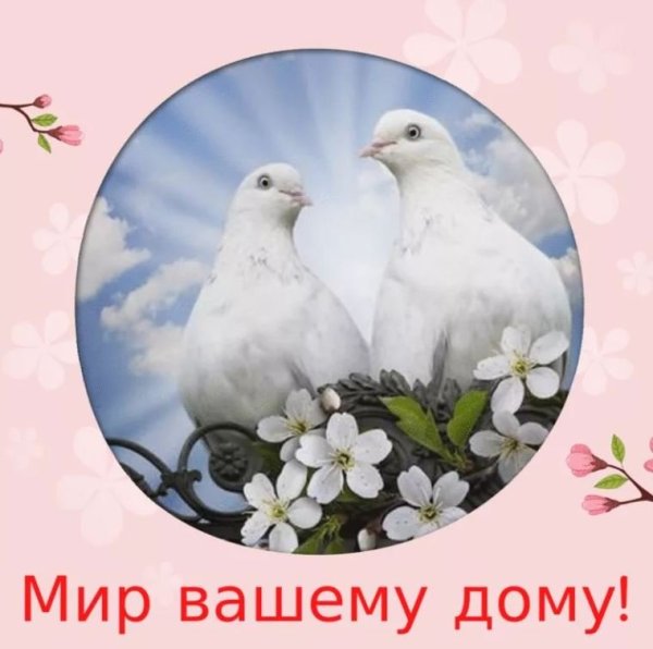 Мира и добра вашему дому