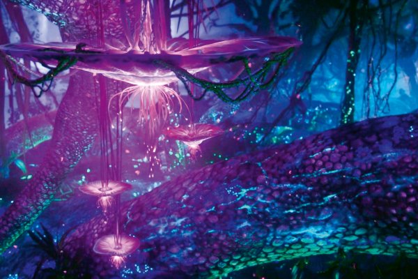 Аватар фильм Пандора