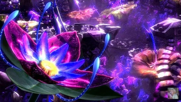 Инопланетные цветы