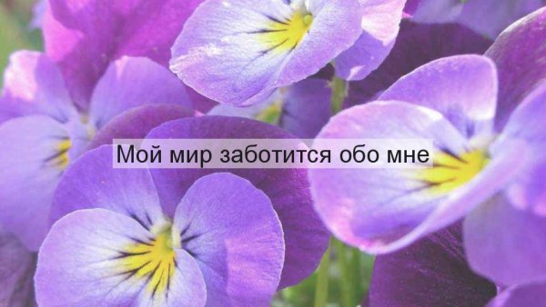 Мир заботится обо мне