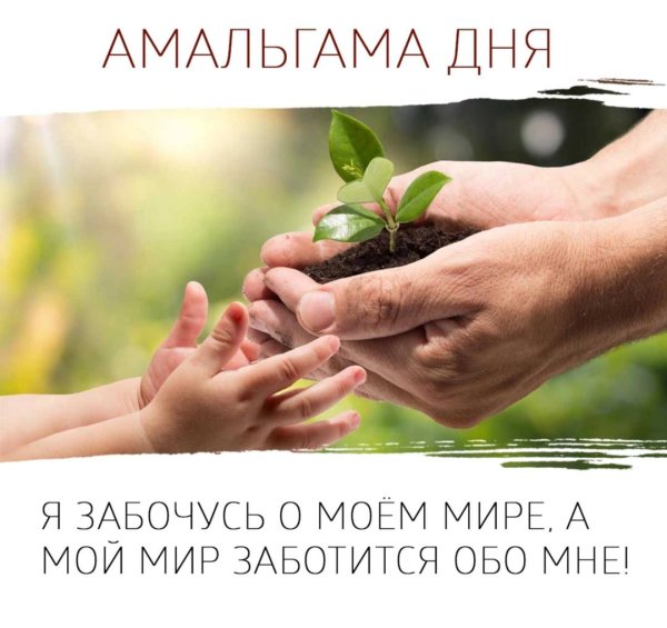 Мой мир заботится обо мне