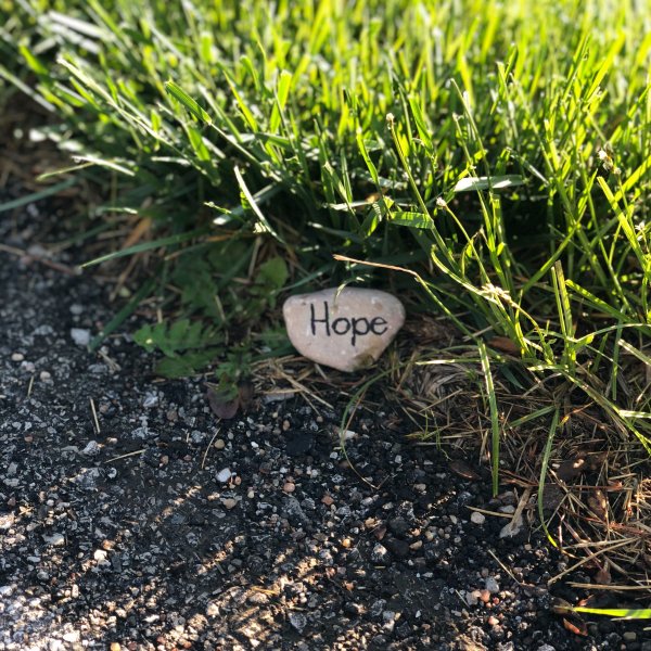 Галька на траве