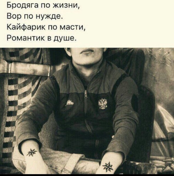 Цитаты бродяг