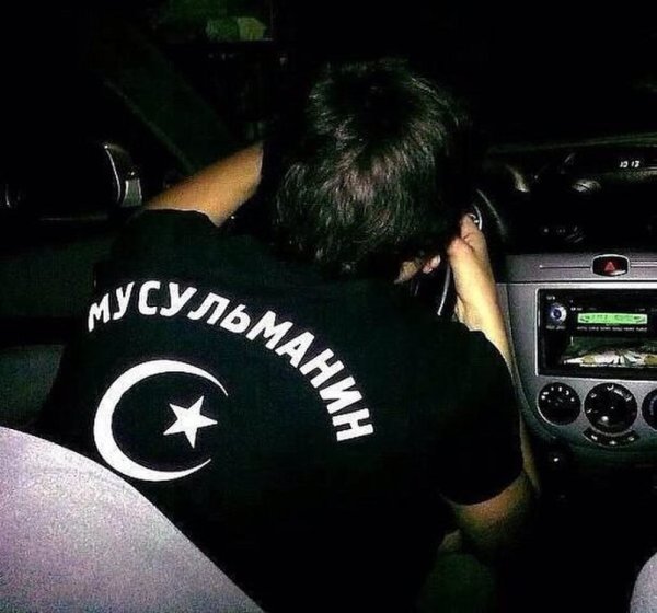 Кавказец Кайфарик