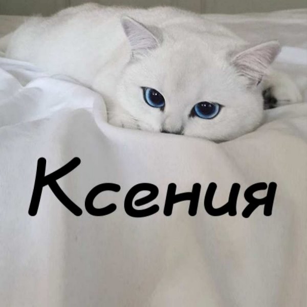 Имя Ксюша