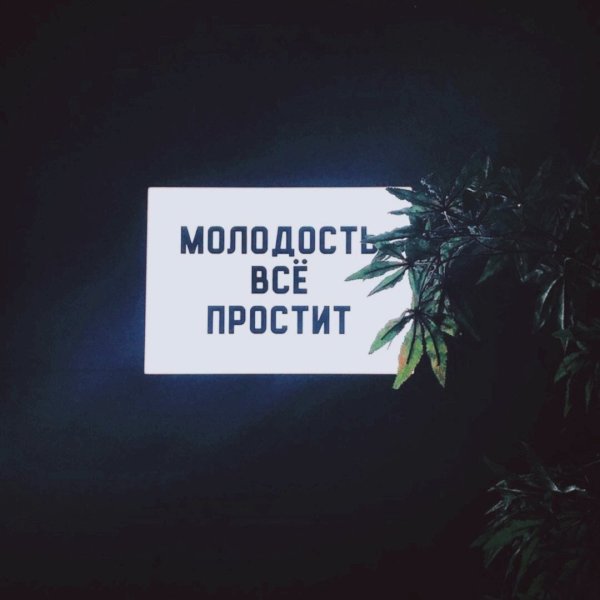 Молодость простит