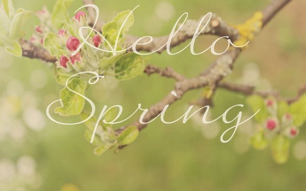 Hello Spring обои