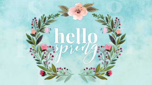 Hello Spring обои на рабочий стол