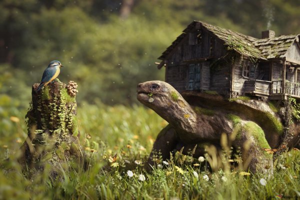 Креативная природа