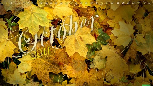 Здравствуй осень