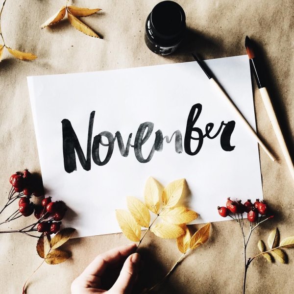 Привет ноябрь